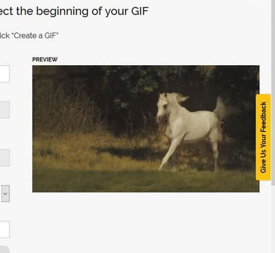 Creare immagini GIF con MAKEAGIF, anteprima GIF