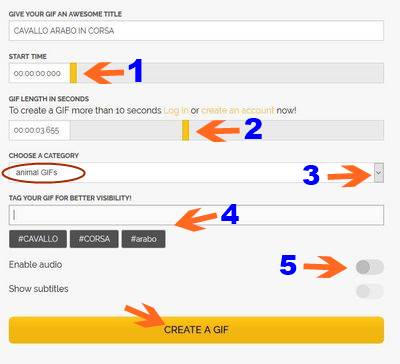 Creare immagini GIF con MAKEAGIF, impostazioni e creazione GIF