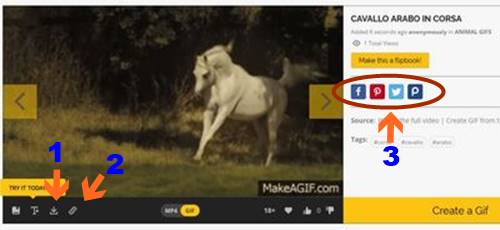 Creare immagini GIF con MAKEAGIF, condivisione Social GIF creata